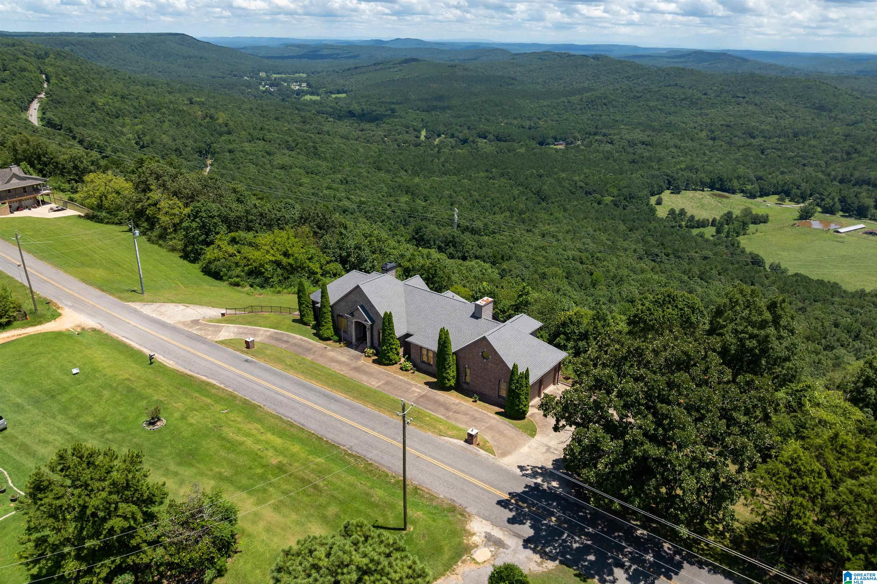 8378 Pine Mountain Road Springville, AL 35146 - Photo 54 of 59