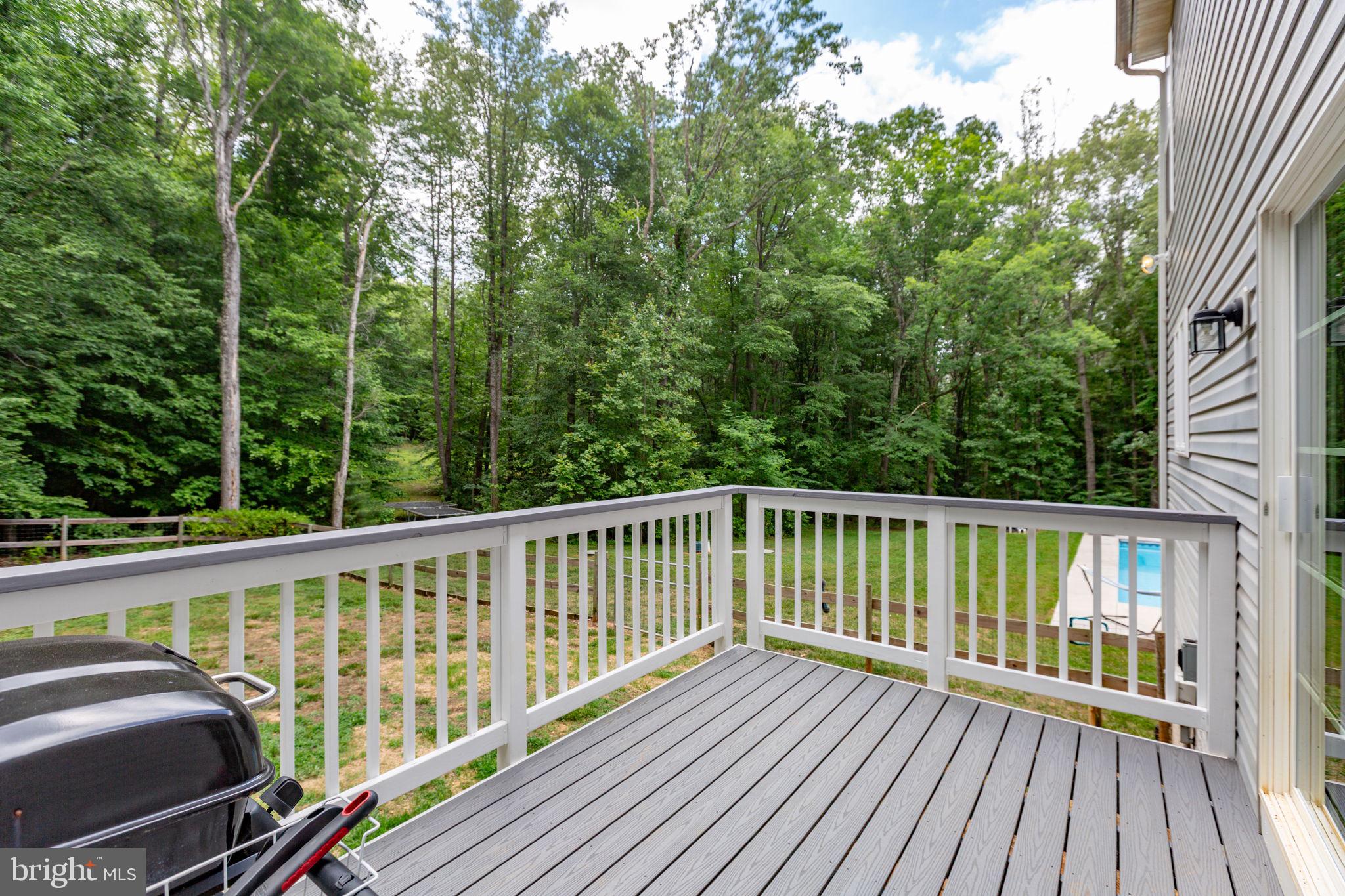4659 Turkey Acres Road King George, VA 22485 - Photo 44 of 54 Great space for seating and outdoor cooking