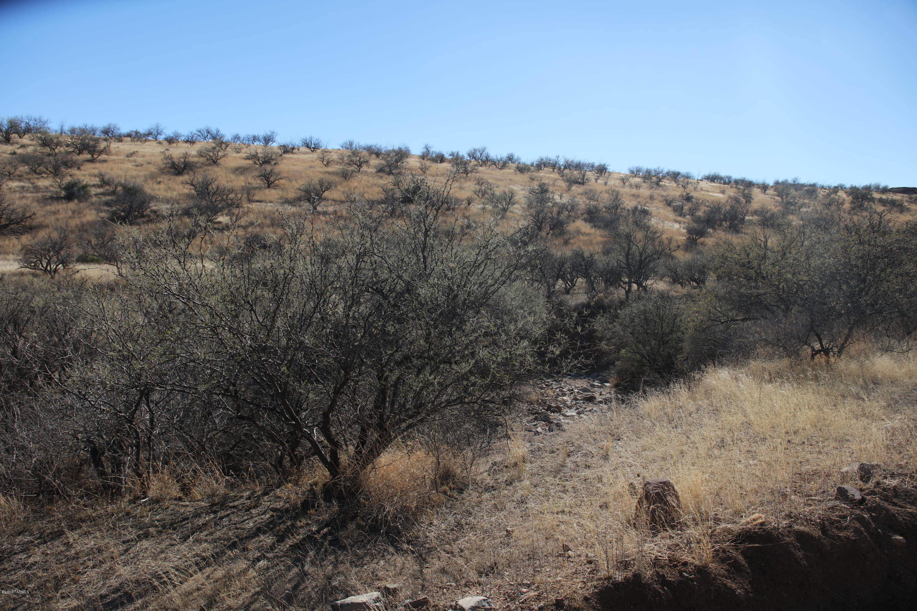336 Camino Kennedy Rio Rico, AZ 85648 - Photo 14 of 29