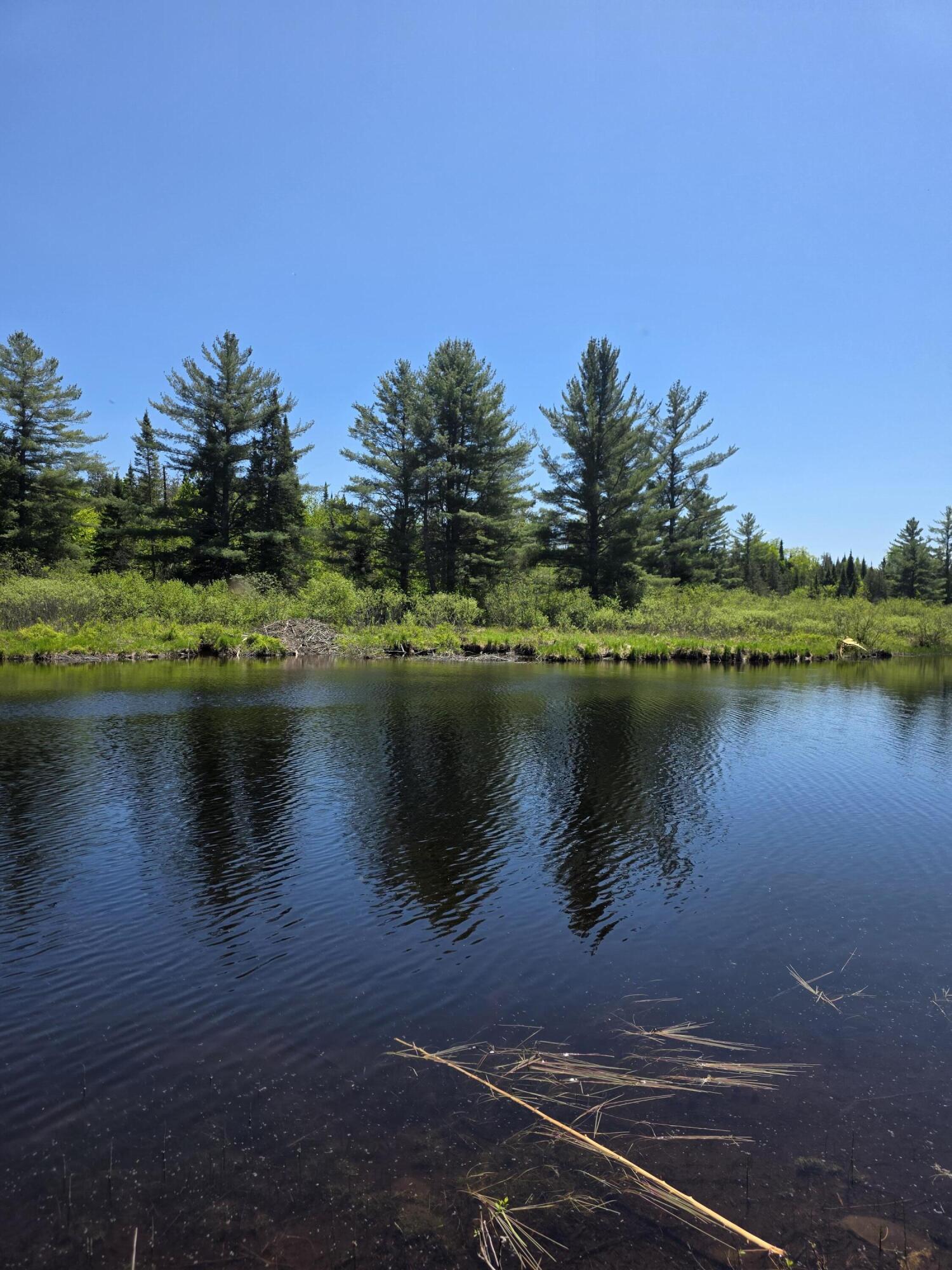 8-l 4 Prescott Pond Road West Forks, ME 04985 - Photo 4 of 9 13886