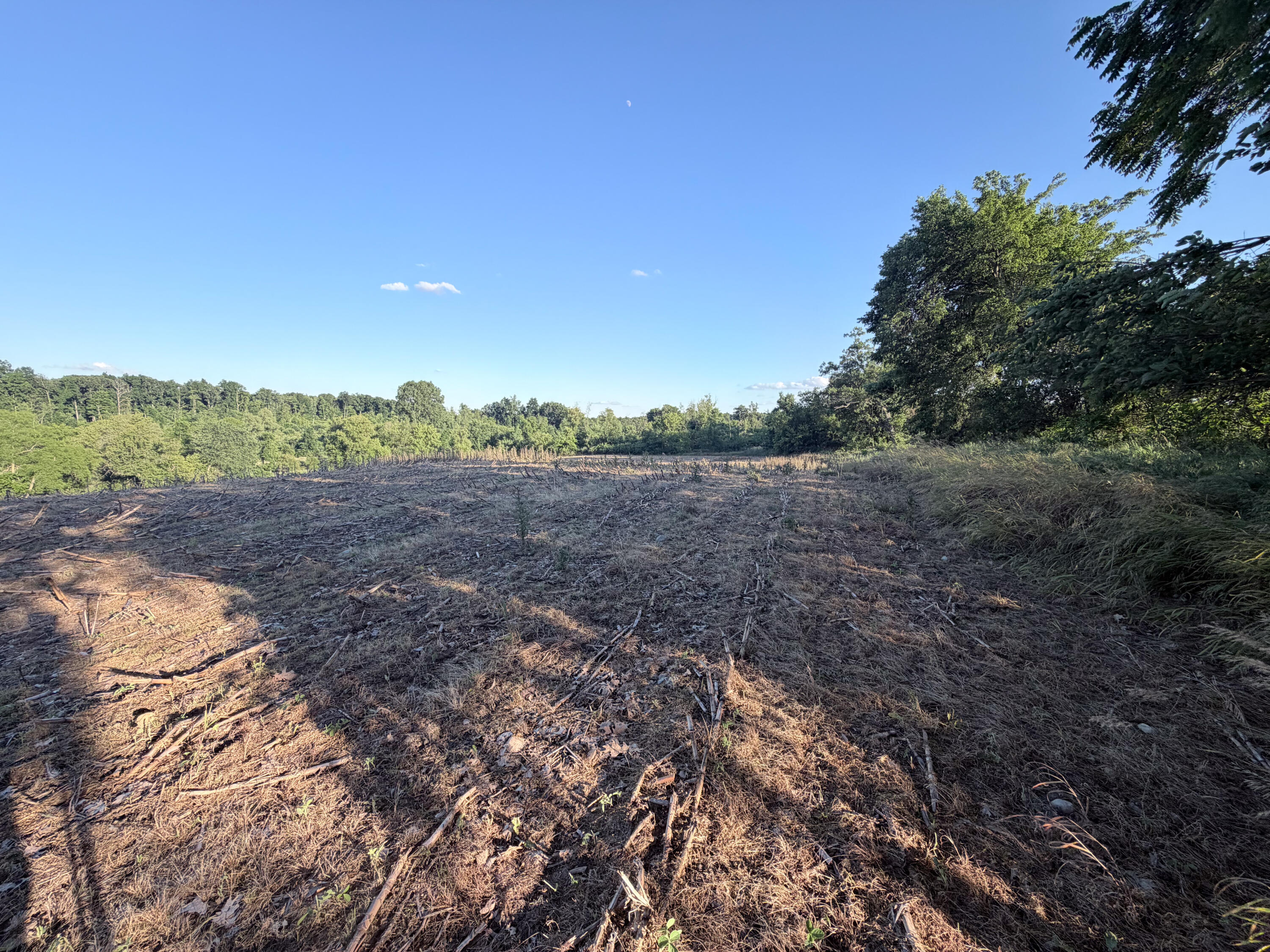8375 South Stoney Lake Road Jackson, MI 49201 - Photo 69 of 101 Jackson 111.84-070
