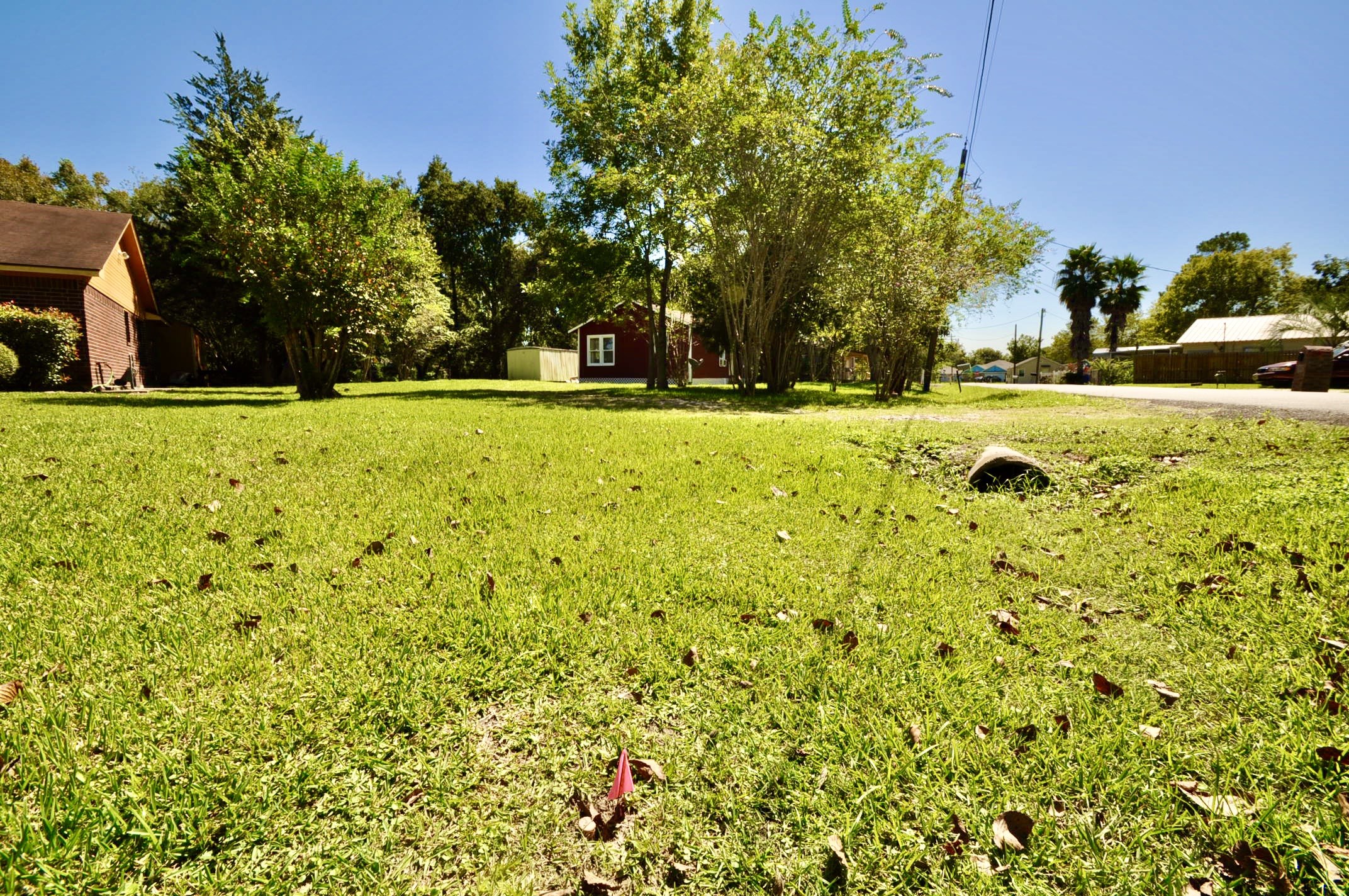 1807 Bell Street Dayton, TX 77535 - Photo 32 of 34 a view of swimming pool and tree