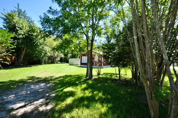 a view of a yard with a tree