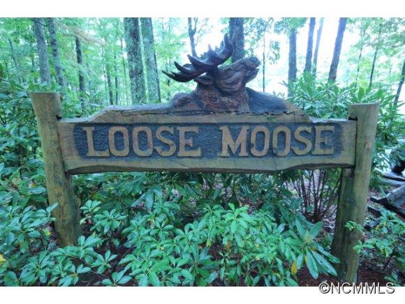 390 Forest Ridge Road Cashiers, NC 28717 - Photo 23 of 23 Gallery Image 23