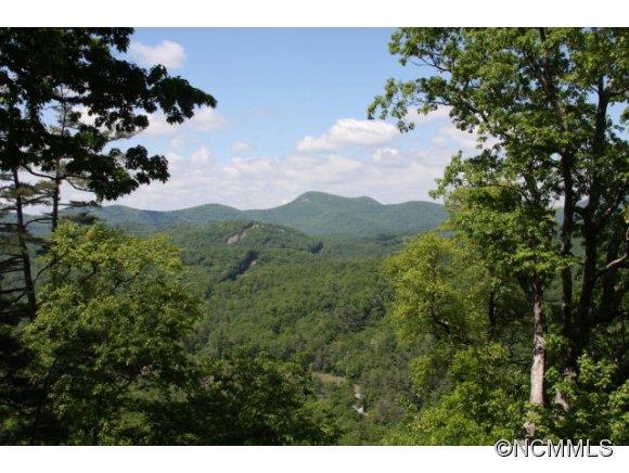 390 Forest Ridge Road Cashiers, NC 28717 - Photo 4 of 23 Gallery Image 4
