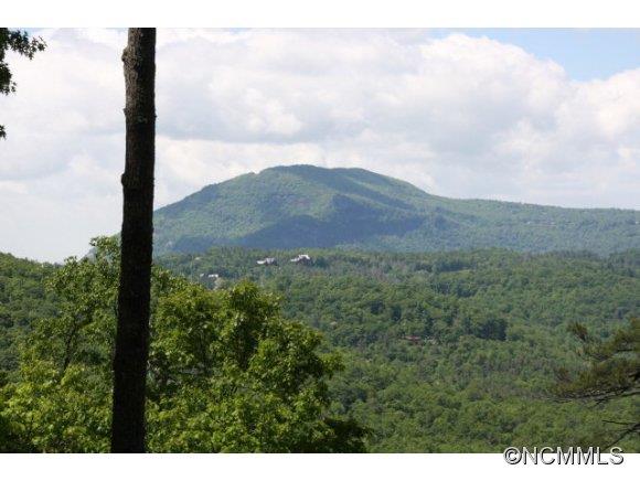 390 Forest Ridge Road Cashiers, NC 28717 - Photo 5 of 23 Gallery Image 5