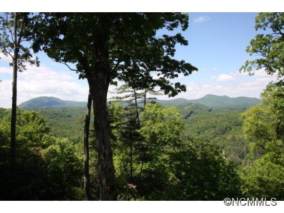 390 Forest Ridge Road Cashiers, NC 28717 - Photo 7 of 23 Gallery Image 7
