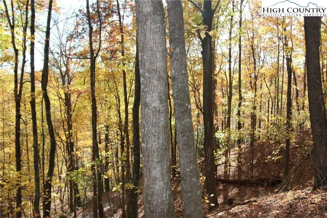 $25,000 | Lot 26 Dawn Warwick Road, Fleetwood, NC 28626