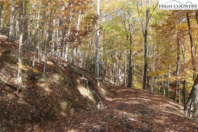 $25,000 | Lot 26 Dawn Warwick Road, Fleetwood, NC 28626