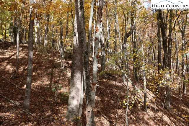 $25,000 | Lot 26 Dawn Warwick Road, Fleetwood, NC 28626