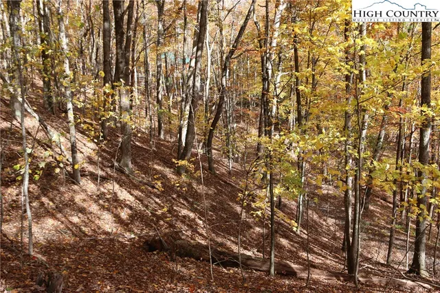 $25,000 | Lot 26 Dawn Warwick Road, Fleetwood, NC 28626