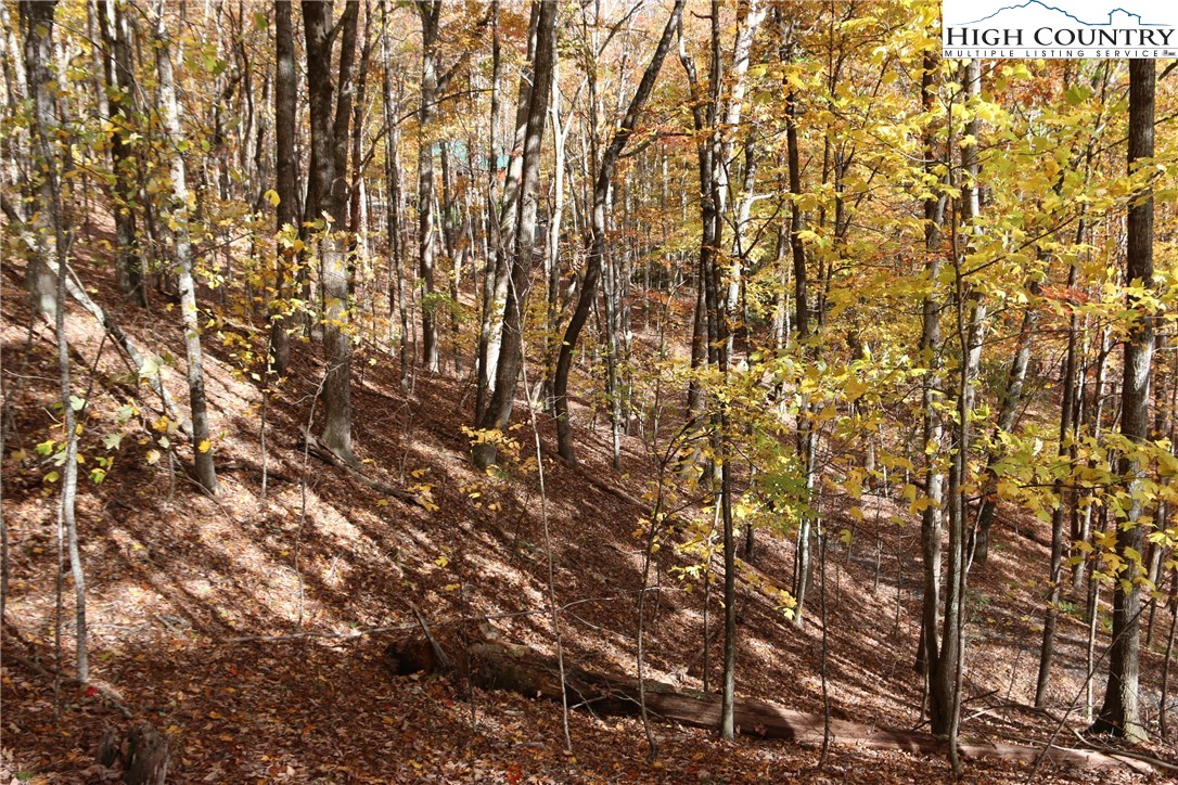 Lot 26 Dawn Warwick Road Fleetwood, NC 28626 - Photo 4 of 6