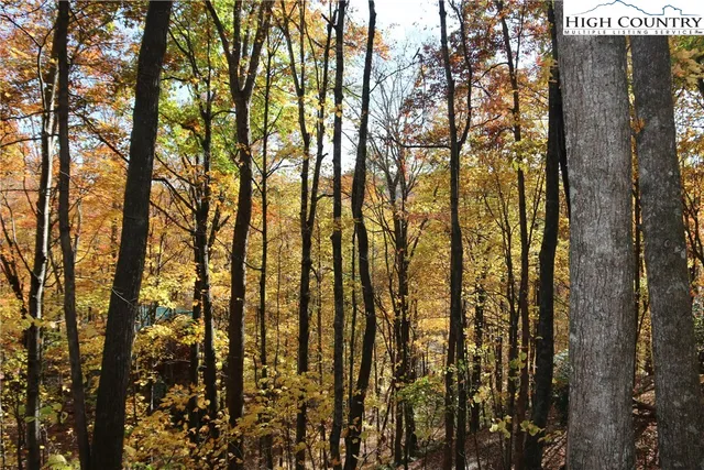 $25,000 | Lot 26 Dawn Warwick Road, Fleetwood, NC 28626