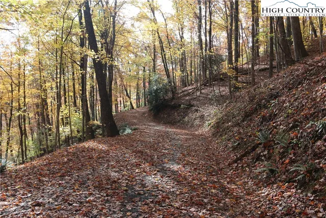 $25,000 | Lot 26 Dawn Warwick Road, Fleetwood, NC 28626