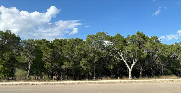 a view of a trees in a yard