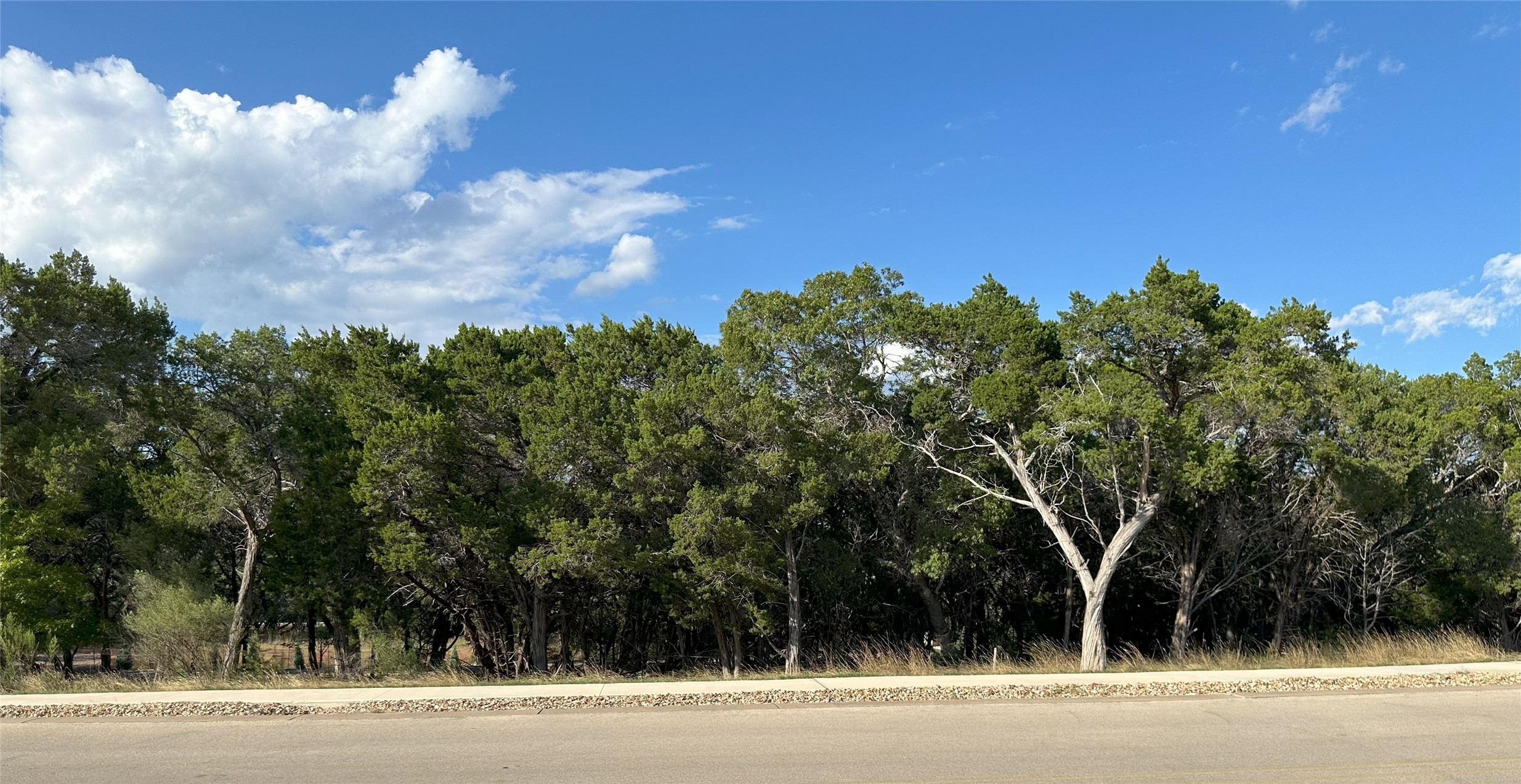 4613 Destination Way Jonestown, TX 78645 - Photo 1 of 14 Front View of 4613 Destination Way
The property greets you with a private canopy of mature oaks and cedars, creating a natural screen from the street. Behind this lush tree line lies 2.3 acres that extend into Lake Travis, offering water rights and the potential for a private deep-water dock.