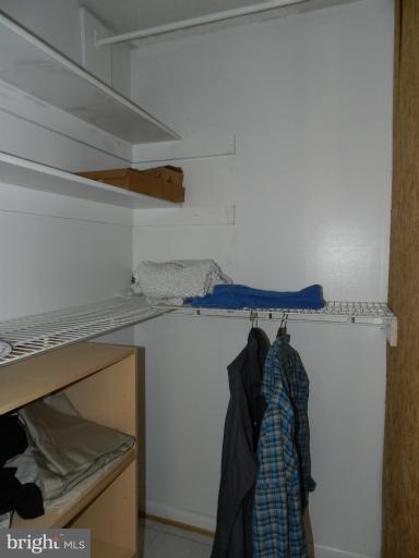 11656 Stoneview Square, Unit 96/1B Reston, VA 20191 - Photo 22 of 29 Roll-in Closet