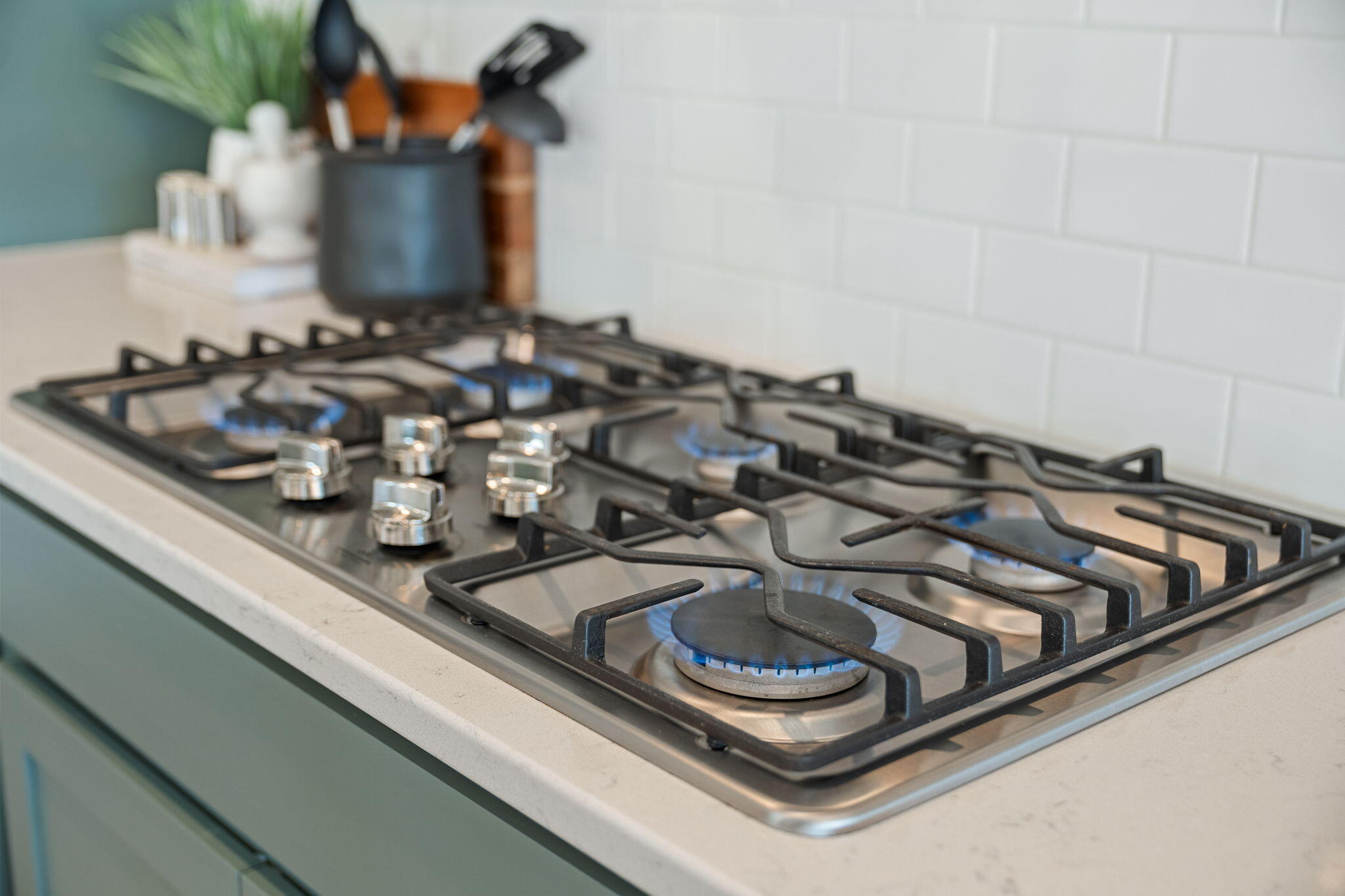 263 Bird Song Path Summerville, SC 29485 - Photo 15 of 42 25-web-or-mls-Barclay Media Co_-48