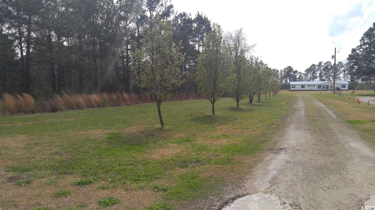 1735 Watts Road Loris, SC 29569 - Photo 2 of 40 Gallery Image 2