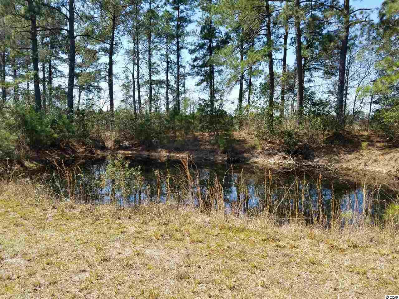 1735 Watts Road Loris, SC 29569 - Photo 12 of 40 Gallery Image 12