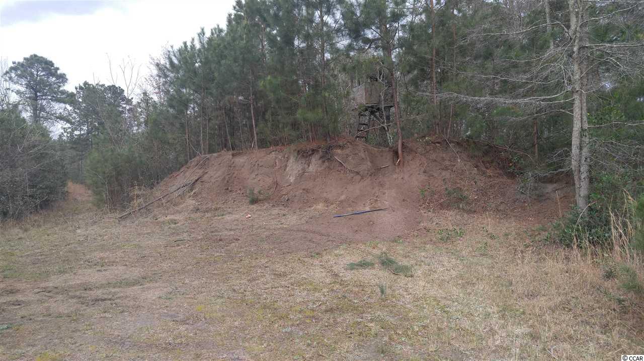 1735 Watts Road Loris, SC 29569 - Photo 13 of 40 Gallery Image 13