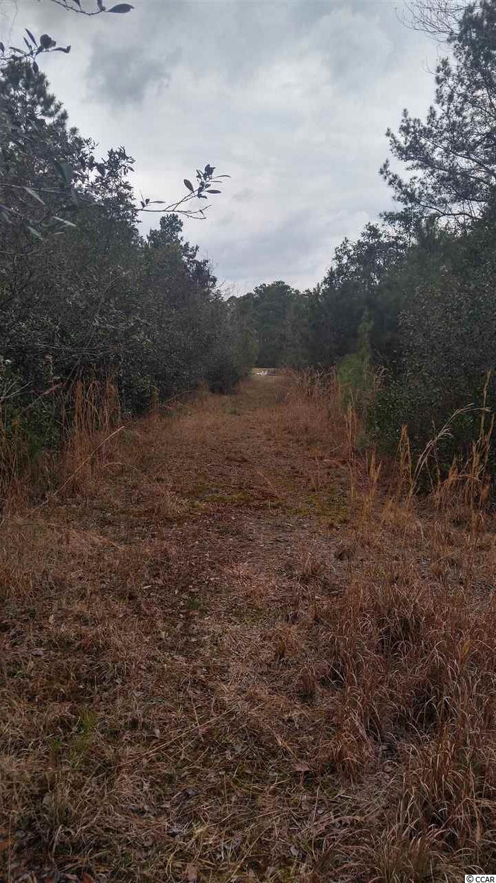 1735 Watts Road Loris, SC 29569 - Photo 14 of 40 Gallery Image 14