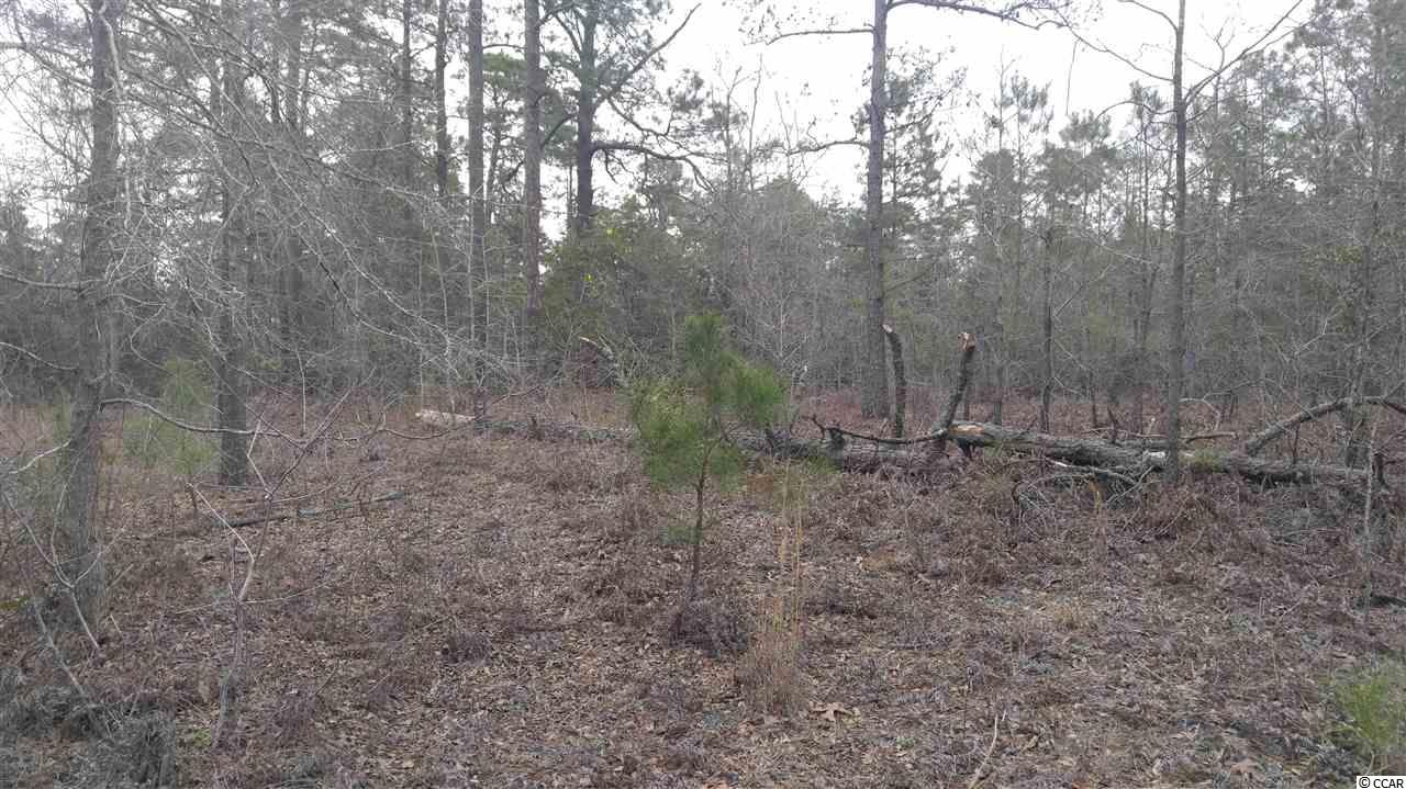 1735 Watts Road Loris, SC 29569 - Photo 15 of 40 Gallery Image 15