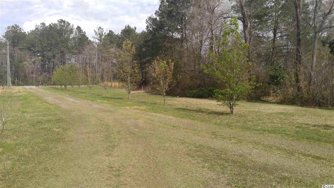 1735 Watts Road Loris, SC 29569 - Photo 4 of 40 Gallery Image 4