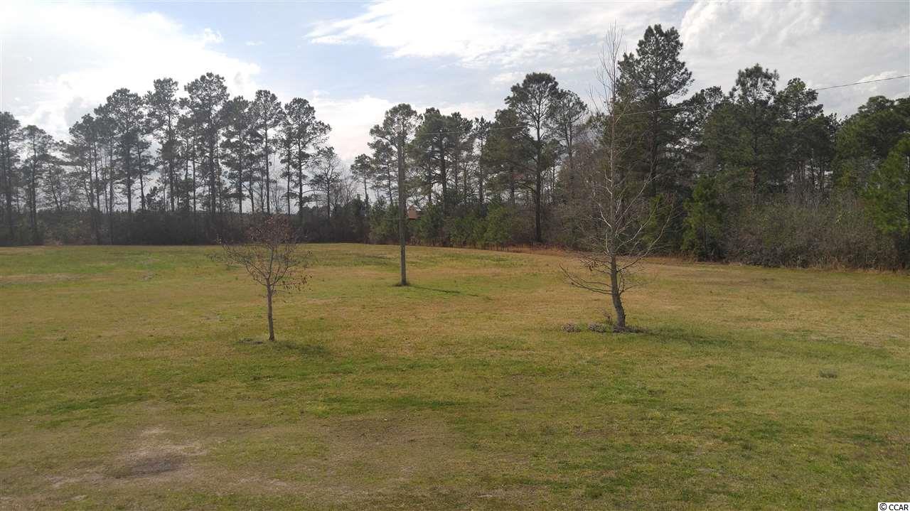 1735 Watts Road Loris, SC 29569 - Photo 8 of 40 Gallery Image 8