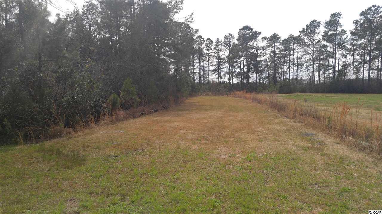 1735 Watts Road Loris, SC 29569 - Photo 9 of 40 Gallery Image 9