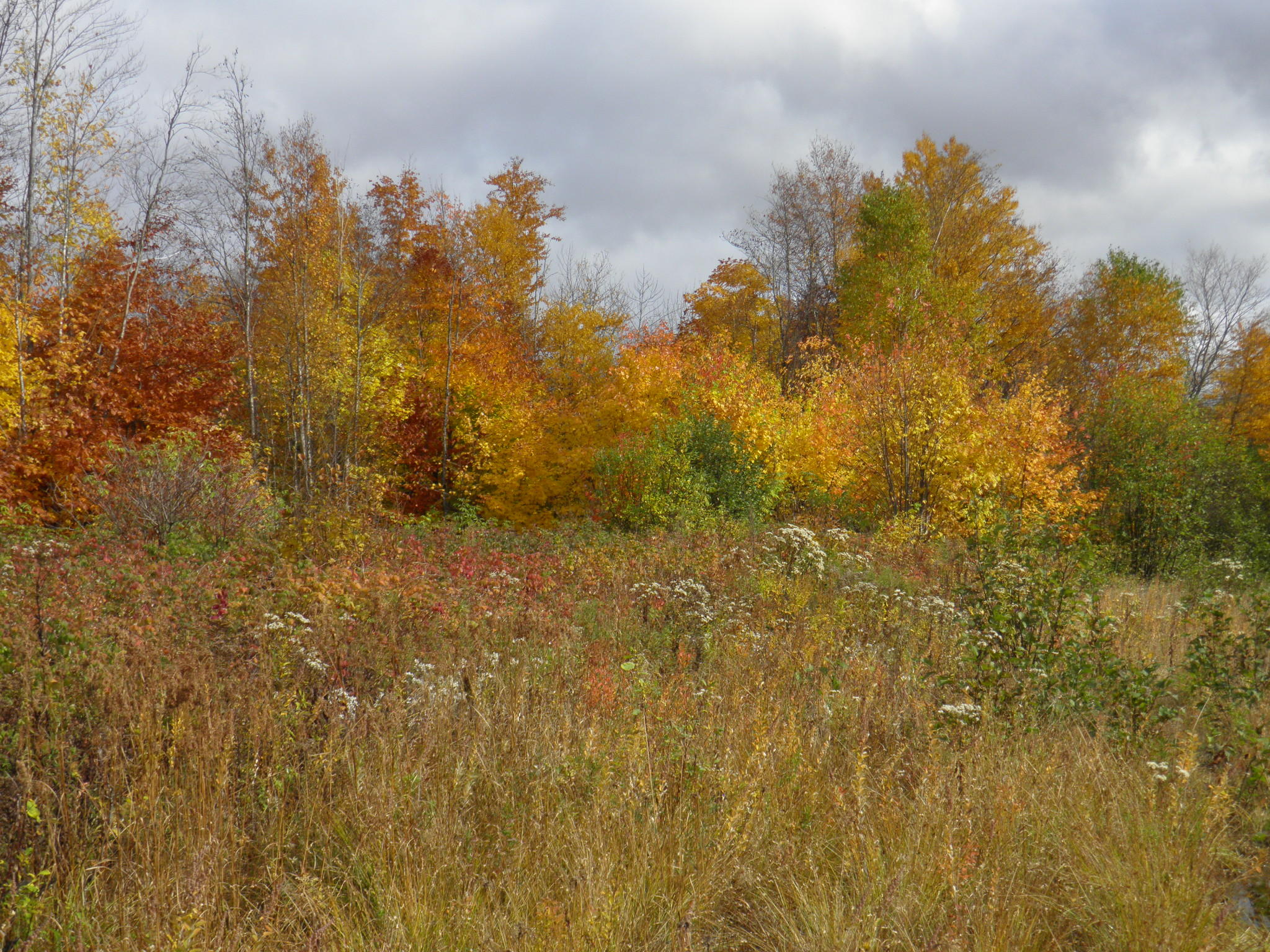 Lot 24 Currie Rd Mount Mount Chase, ME 04765 - Photo 19 of 24 PA130702