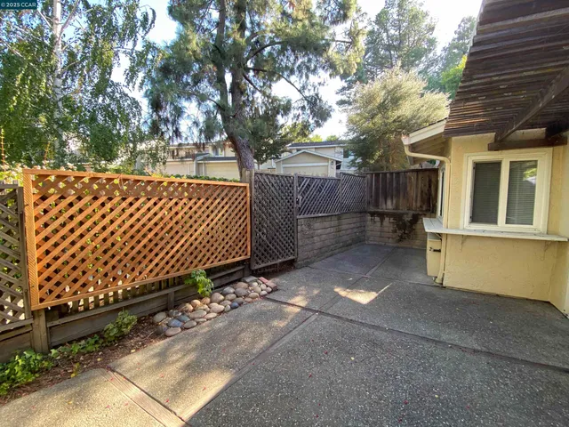 a view of backyard and tree