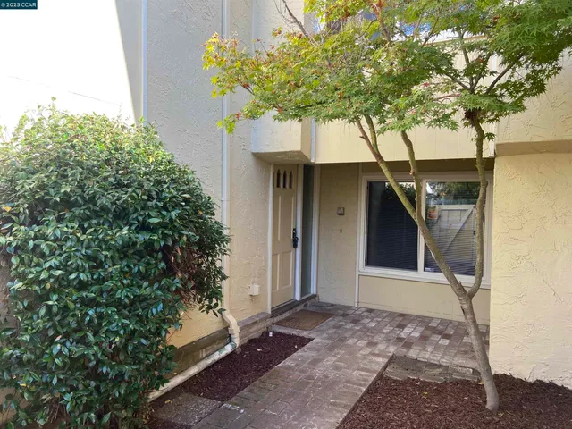 a tree in a house next to a yard