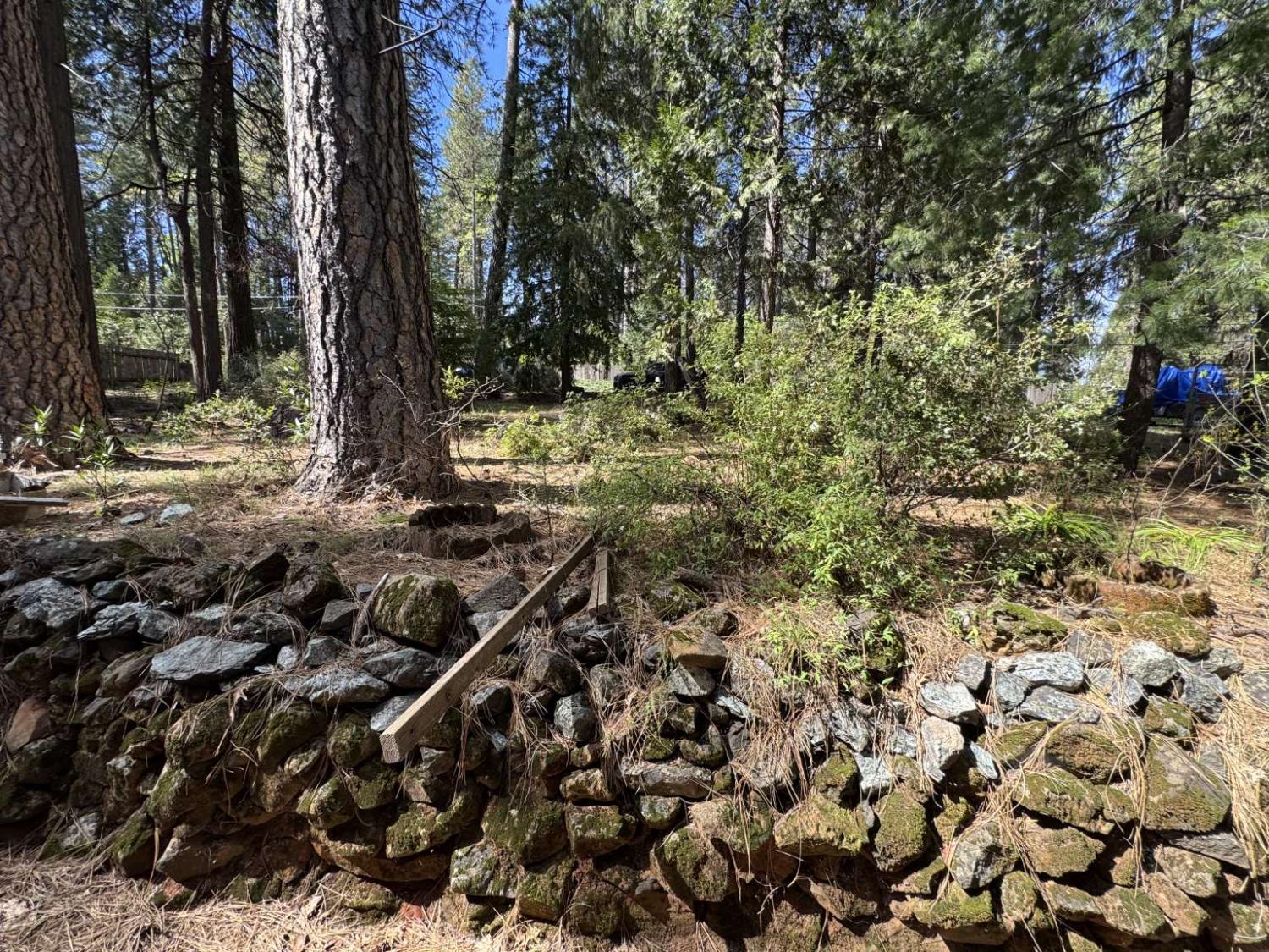 15342 Forest Ranch Way Forest Ranch, CA 95942 - Photo 12 of 28