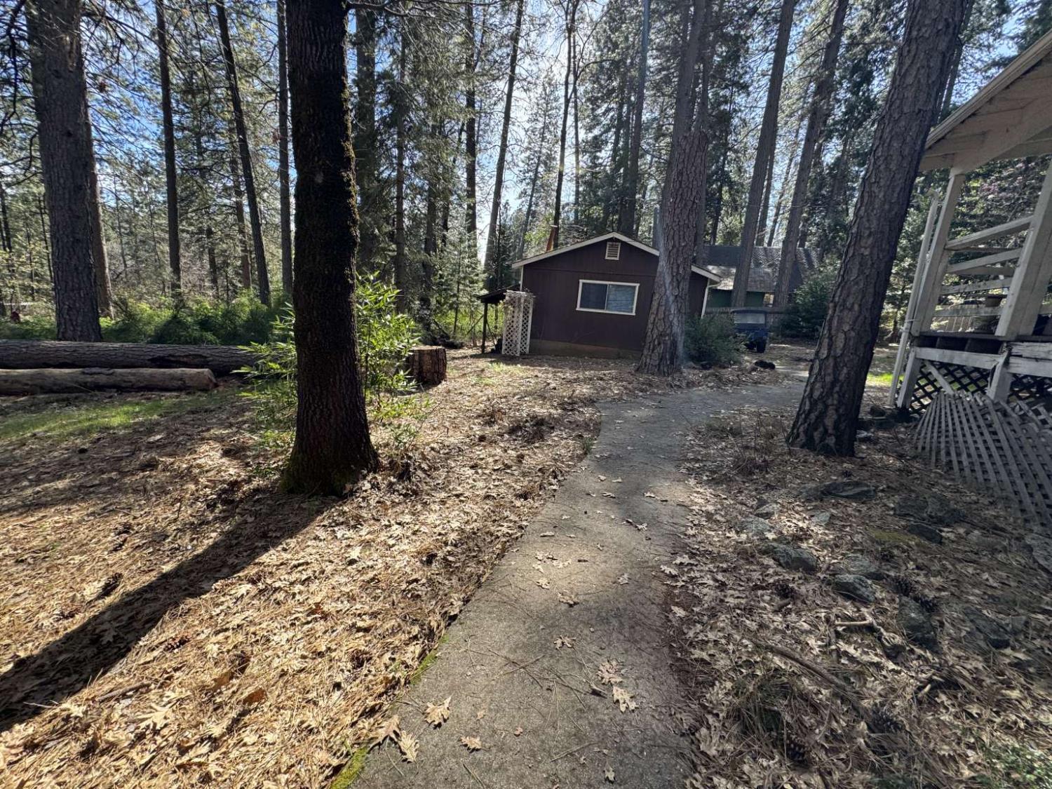 15342 Forest Ranch Way Forest Ranch, CA 95942 - Photo 5 of 28