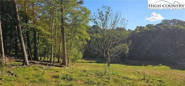 a view of a tree with a yard