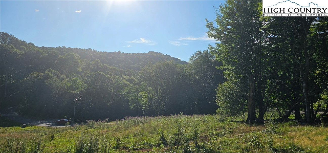 Poplar Forest Drive Boone, NC 28607 - Photo 4 of 5 a view of a back yard