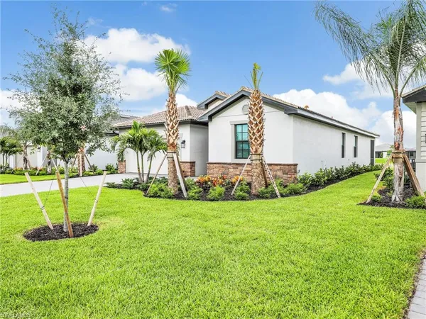 a view of a backyard with a garden and plants