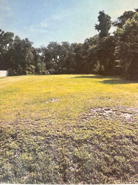 1046 State Rd S-10-858 Awendaw, SC 29429 - Photo 5 of 12 IMG_8516