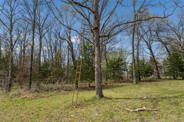 $735,000 | 14441 State Hwy U, Cross Timbers, MO 65634