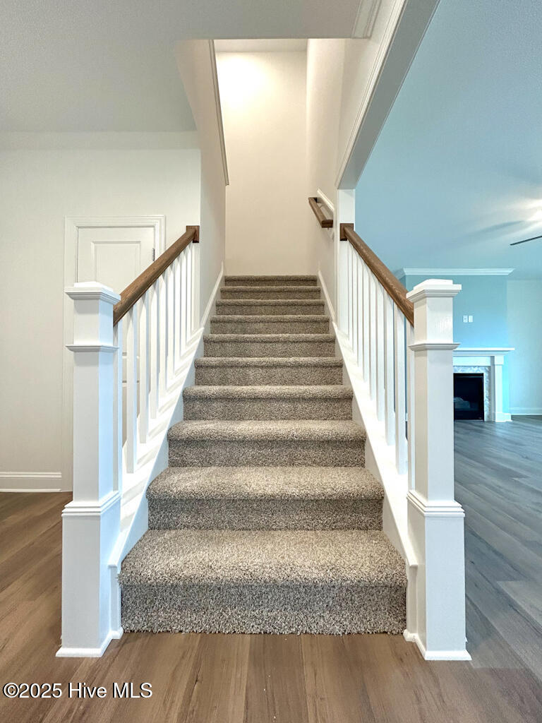 802 Tupelo Tree Drive Hubert, NC 28539 - Photo 34 of 72 IMG-3468-jpg