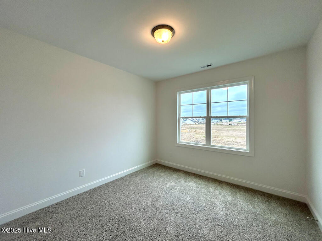 802 Tupelo Tree Drive Hubert, NC 28539 - Photo 46 of 72 IMG-3484-jpg