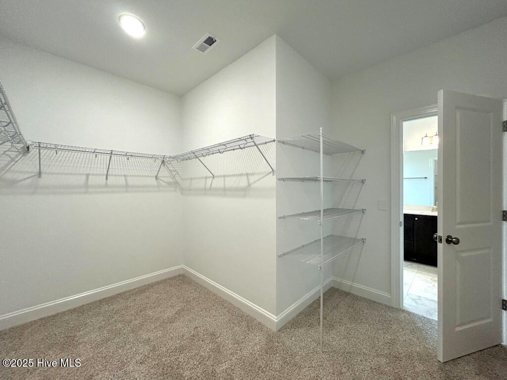 802 Tupelo Tree Drive Hubert, NC 28539 - Photo 67 of 72 IMG-3517-jpg