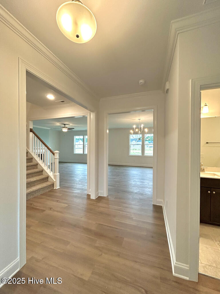 802 Tupelo Tree Drive Hubert, NC 28539 - Photo 7 of 72 IMG-3428-jpg