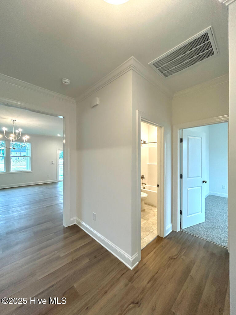 802 Tupelo Tree Drive Hubert, NC 28539 - Photo 8 of 72 IMG-3429-jpg