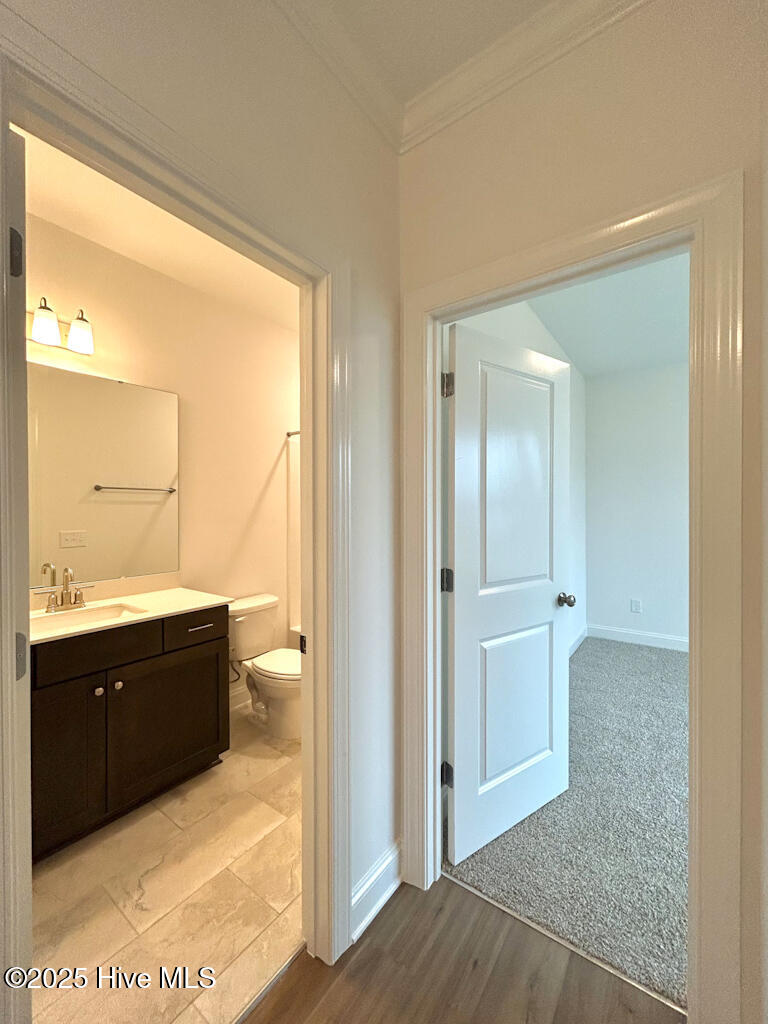 802 Tupelo Tree Drive Hubert, NC 28539 - Photo 10 of 72 IMG-3433-jpg