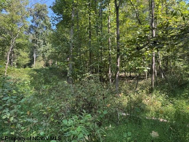 Tbd Hagans Road Rivesville, WV 26588 - Photo 11 of 21 Gallery Image 11