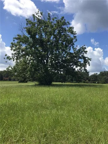 $168,000 | Tbd Buck Anthony Road, Folsom, LA 70437