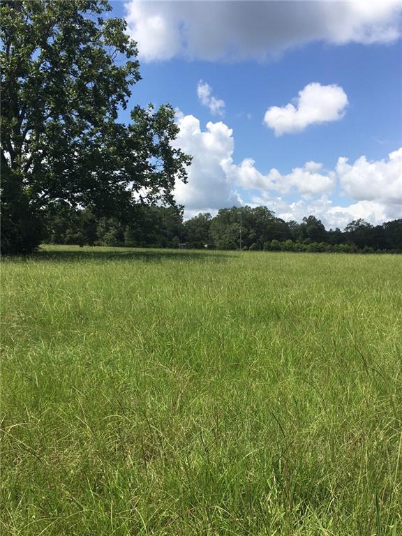 Tbd Buck Anthony Road Folsom, LA 70437 - Photo 2 of 2