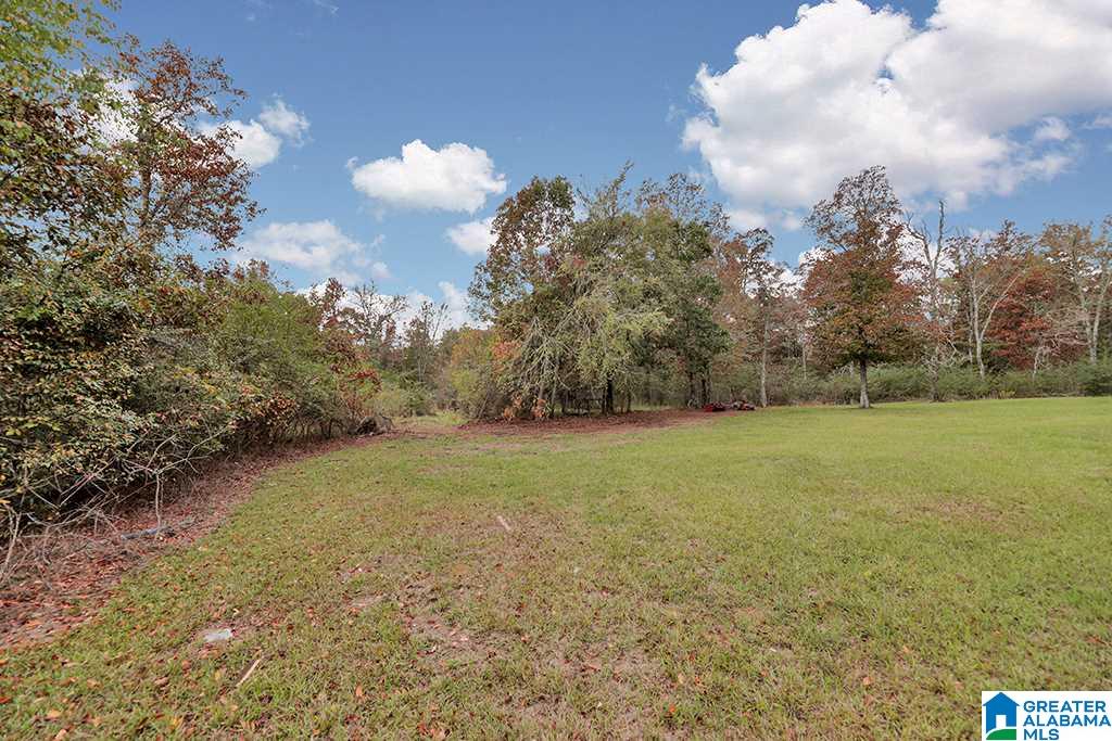 100 Mountain View Lane Springville, AL 35146 - Photo 26 of 30